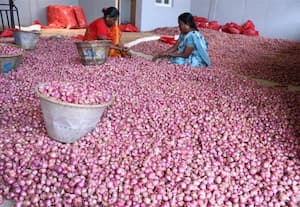 ஒட்டன்சத்திரம் மார்க்கெட்டில் அதிகரித்த காய்கறிகள் விலை