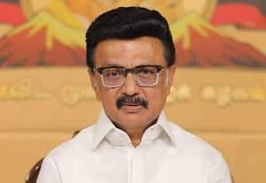 ஒரே வார்த்தையில் சொல்லனும்னா... தவெகவுக்கு வெற்றியில் தோல்வி என ஸ்டாலின் பேட்டி