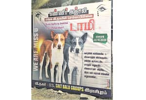 உயிரிழந்த தெரு நாய்க்கு போஸ்டர் ஒட்டி அஞ்சலி