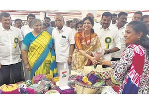 டெக்ஸ்வேலியில் பனை இயற்கை திருவிழா
