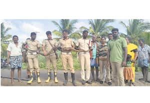 11 அடி நீள மலைப்பாம்பு வனத்துறையினர் மீட்பு
