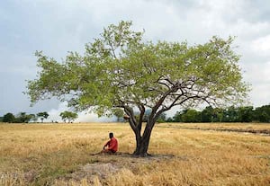 வறட்சியின் தாகம்: மேதவாச்சியாவின் கண்ணீர்