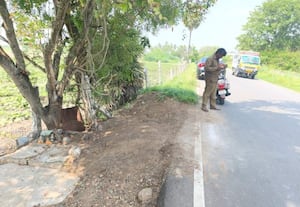 சுவாமி படங்கள் குவியல் தூய்மையானது: தினமலர் செய்தி எதிரொலி