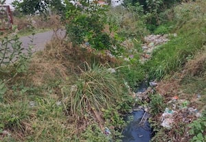 மழைநீர் வாய்க்காலை துார்வார கோரிக்கை