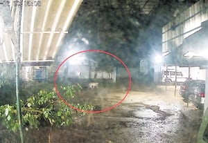 சிறுத்தையை பிடிக்க வலியுறுத்தி வனத்துறை அலுவலகம் முற்றுகை