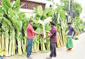 பூக்கள், பழங்கள் விற்பனை ஜோர்