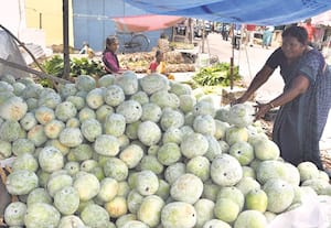 ஆயுத பூஜை பண்டிகை வெள்ளை பூசணி, வாழைத்தார் விற்பனை ஜோர்