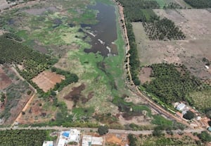 90 மி.மீ மழை பெய்தும் ஈரமாகாத குளம்