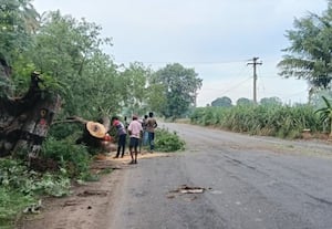 நான்கு வழி சாலை விரிவாக்கம் மரங்கள் வெட்டும் பணி தீவிரம்