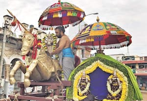 'குதிரை வாகனத்தில் புறப்பட்டு சூரனை வதம் செய்த முருகன்'