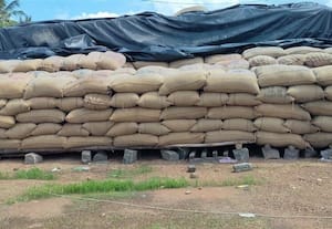 வடலுாரில் 20 ஆயிரம் நெல் மூட்டைகள் தேக்கம் மழையில் நனைந்து முளைத்து வீணாகும் அபாயம்