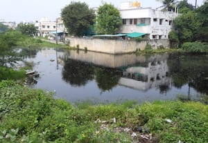 காலிமனையில் தேங்கும் மழைநீரால் கோனேரியில் நோய் தொற்று பரவும் அபாயம்