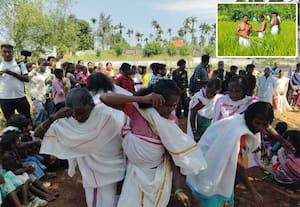 நெற்கதிர் அறுவடை திருவிழா