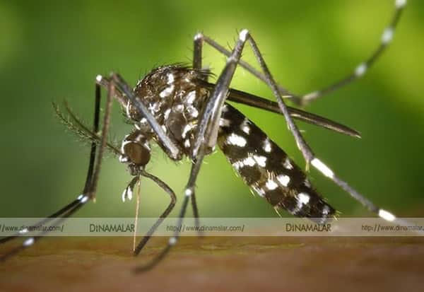 Latest Tamil News
