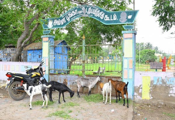 Latest Tamil News