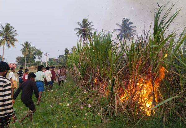 Latest Tamil News