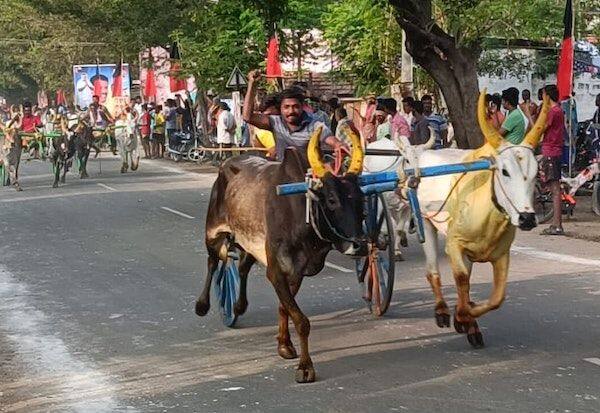 Latest Tamil News