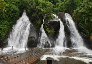 தென்காசி, மேற்கு தொடர்ச்சி மலைப் பகுதிகளில் பெய்துவரும் மழையால் ...