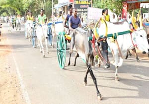சிவகங்கை அண்ணாமலை நகர் கீழ் பாத்தி அம்மன் கோயில் திருவிழாவை முன்னிட்டு ...