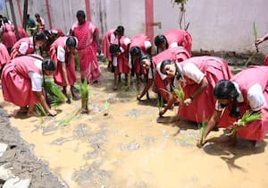 விவசாயம் குறித்த விழிப்புணர்வை ஏற்படுத்தும் விதமாக சென்னை புரசைவாக்கம் ...
