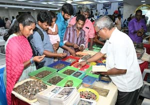சென்னை நாணயவியல் கழகம் நடத்தும் தேசிய அளவிலான நாணயக் கண்காட்சியில் ...