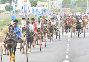 சிவகங்கை பனங்காடி ரோடு பகுதி மக்கள் சார்பில் நடந்த கிருஷ்ண ஜெயந்தி ...
