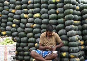 சர்க்கரை பூசணிக்காய் விளைச்சல் அதிகம் காரணமாக சென்னை கோயம்பேடு ...