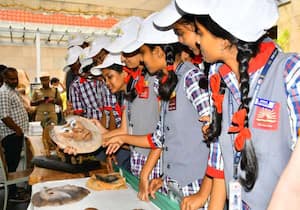 கோவை ரெசிடென்சி டவர் ஹோட்டலில் உலக யானை தின விழா நடந்தது