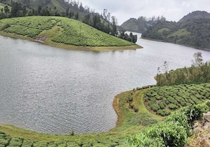 வளைந்து, நெளிந்து மனதை கவரும் வகையில் மணலாறு அணை ... இடம் : மேகமலை