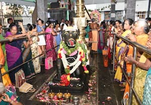 ஆவணி மாத பிரதோஷத்தை முன்னிட்டு உடுமலை தில்லைநகர் ரத்தினாம்பிகை உடனுறை ...