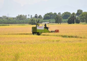  திருநெல்வேலி மாவட்டம் அதன் சுற்றுவட்டார பகுதியில் நெல்அறுவடை பணிகள் ...