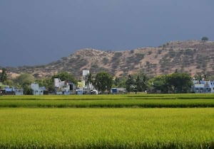 திருநெல்வேலி மாவட்டம் சுற்றுவட்டார பகுதிகளில் அவ்வப்போது மழை ...