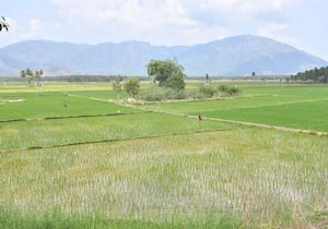 விருதுநகர் மாவட்டம் வத்திராயிருப்பு மற்றும் அதன் சுற்றுவட்டார ...