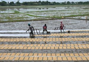 திருநெல்வேலி மாவட்டம் அதன் சுற்றுவட்டார பகுதிகளில் கடந்த சில நாட்களாக ...