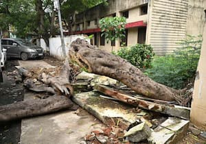 சென்னை மாவட்ட நூலகத்தில் உள்ள மரம் விழுந்து சுவர் சேதமடைந்து உள்ளது.இடம்: ...