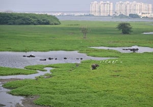 பருவமழை தொடங்கியுள்ள நிலையில், சென்னை கொரட்டூர் ஏரி முறையாக ...