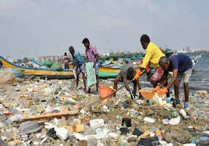 தினமலர் செய்தி எதிரொலியாக காசிமேடு மீன்பிடி துறைமுகத்தில் டன் கணக்கிலான ...