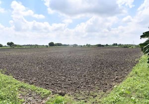 விருதுநகர் அருகே மீசலூரில் மக்காச்சோளம் பயிரிட விவசாயிகள் நிலத்தை ...