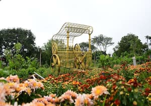 நாளை திறக்கப்பட உள்ள செம்மொழி பூங்காவில் அமைக்கப்பட்டுள்ள, முல்லைக்கு ...