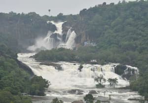 மேற்கு தொடர்ச்சி மலைப் பகுதிகளில் பெய்து வரும் கனமழையால் பாபநாசம்  ...