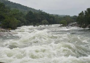 மேற்கு தொடர்ச்சி மலைப் பகுதிகளில் பெய்து வரும் கனமழையால் பாபநாசம் அணை ...