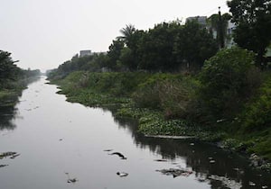 பருவமழைக் காலம் துவங்கவுள்ள நிலையில் பக்கிங்காம் கால்வாய் தூர்வாராமல் ...