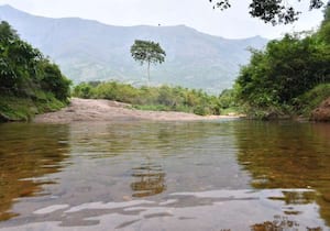 சில தினங்களாக பெய்த மழையால் ஸ்ரீவில்லிபுத்தூர் மேற்கு தொடர்ச்சி மலை ...