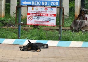 திருநெல்வேலி அரசு மருத்துவக்கல்லூரி மருத்துவமனையில் நோயாளிகளை ...