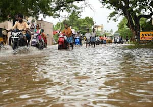 கடலூர் திருவந்திபுரம் சாலையில் கனமழையால் தேங்கிய மழைநீரில் நீந்தி வரும் ...