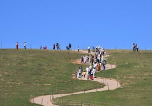 ஊட்டி அருகே சூட்டிங்மட்டத்திற்கு, இயற்கை காட்சிகளை ரசிக்க சுற்றுலா ...