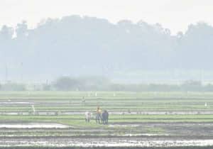 திருநெல்வேலி மாவட்டம் அதன் சுற்றுவட்டார பகுதிகளில் (மதியம் 12 மணி) ...