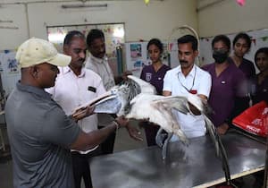 புதுச்சேரி  ஊசுடேரியில் மீன் வலையில் சிக்கி உயிருக்கு போராடிய  ...