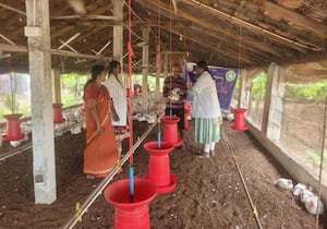 கேரள மாநிலத்தில் பரவை காய்ச்சல் பரவி வருவதாகவும் முன் எச்சரிக்கை ...