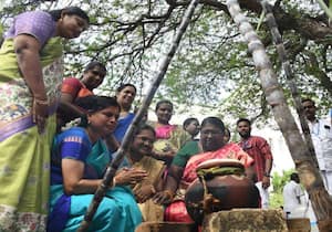 கோவை கலெக்டர் அலுவலகத்தில் பொங்கல் வைத்து கொண்டாடிய அரசு ஊழியர்கள்.